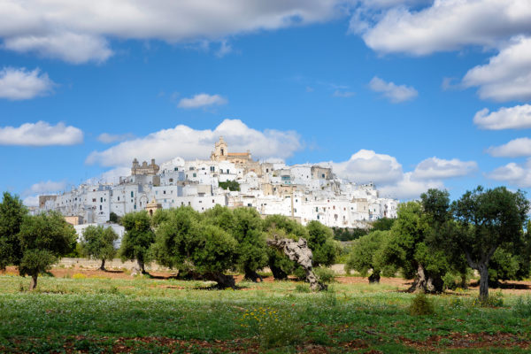 ostuni-the-white-city-of-puglia-with-olive-trees-2021-08-26-15-45-48-utc